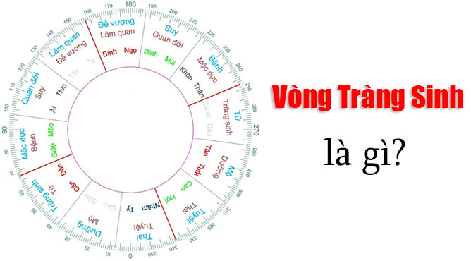vòng tràng sinh là gì