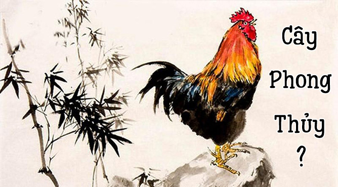 tuổi Dậu hợp cây gì